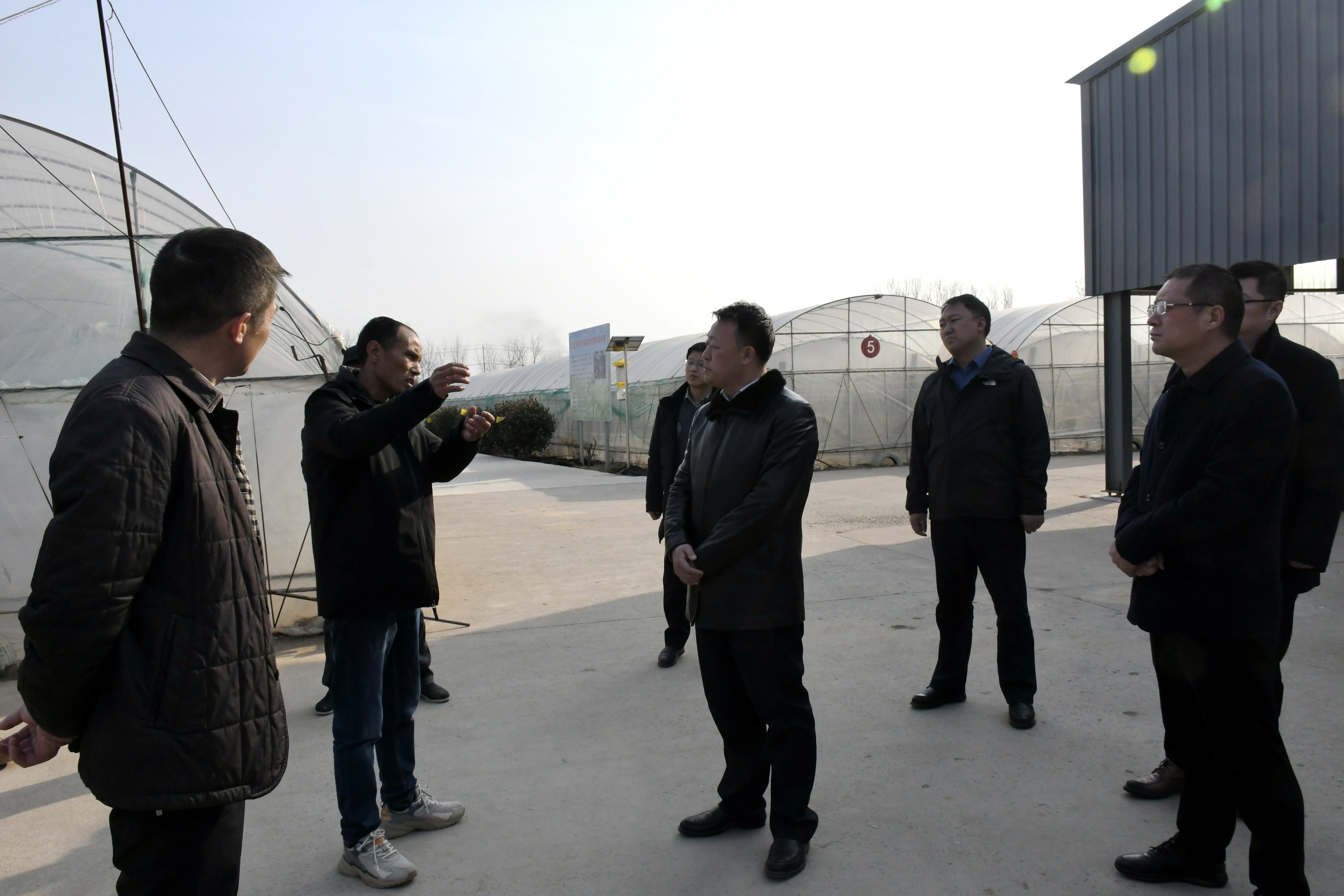 县长苏卫哲调研葡萄产业发展情况素材4.jpg