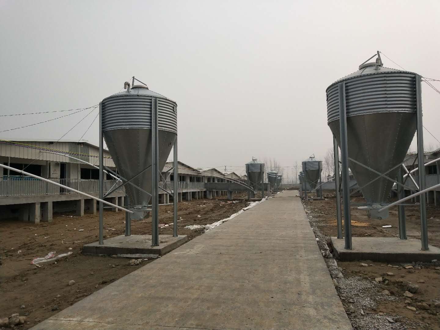 百禄镇牧原生猪养殖项目推进的红红火火