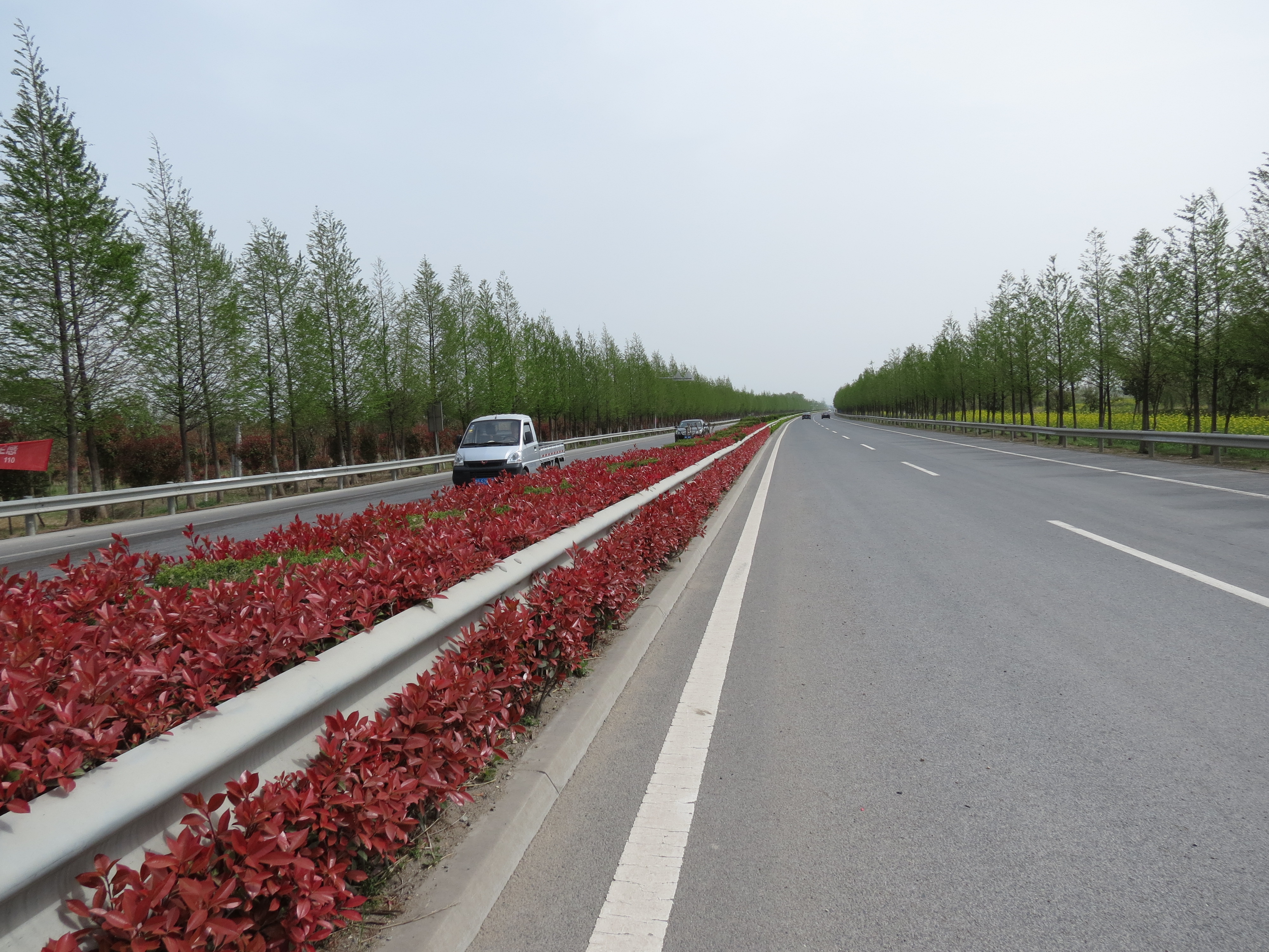 三口镇:"五项行动"让这里变得诗情画意 - 灌南县人民政府