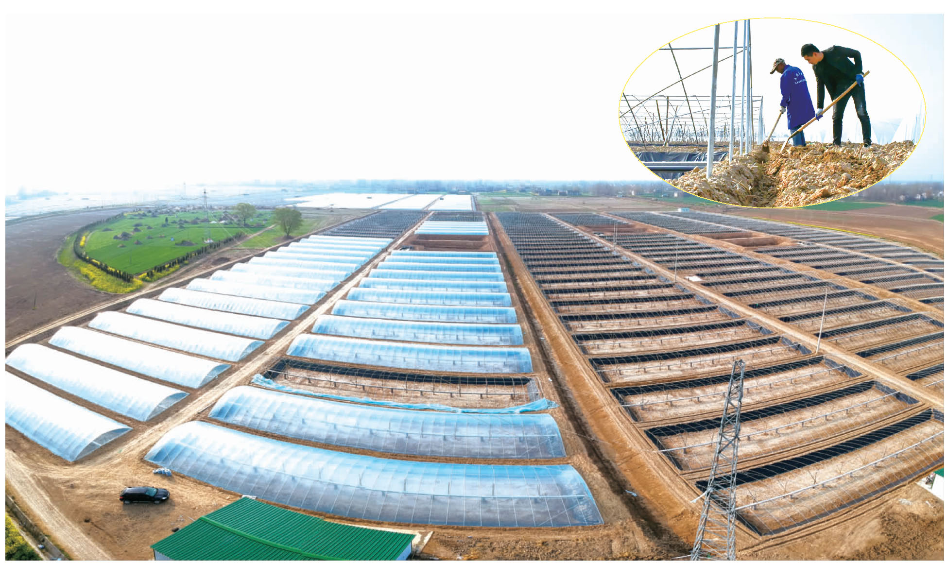 图片新闻百禄镇现代高效设施农业